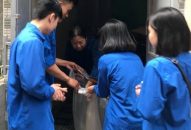 Bơ gạo nghĩa tình