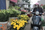 Hoa loa kèn đua nở, nông dân “mở cờ” trong bụng