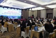 Du lịch Hải Phòng – Trải nghiệm và khám phá