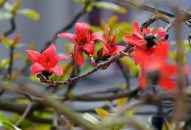 Tôi đã yêu thành phố Hải Phòng!