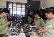 Quản lý thị trường phát hiện gần 15.000 vụ vi phạm trong quý I/2019