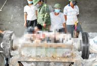 Một công nhân bị máy nghiền phế liệu cuốn nát