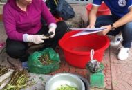 Vận động người dân tham gia BHXH tự nguyện