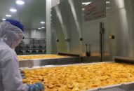 Hướng tới xây dựng Tiên Lãng trở thành trung tâm chế biến nông sản của vùng Duyên hải Bắc Bộ