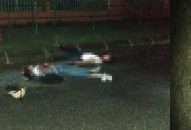 Nghi phạm sát hại bạn gái đã tử vong sau 3 ngày gây án