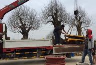 Huyện An Dương:  Thu nhập hoa, cây cảnh dịp Tết 2019 đạt 182,5 tỷ đồng