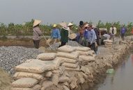 Huyện An Dương: Hỗ trợ kinh phí xây dựng hơn 30,25km đường giao thông nông thôn