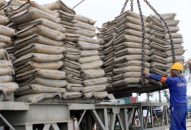 Huyện An Dương: 5 gia đình người có công đầu tiên tiếp nhận xi măng hỗ trợ của thành phố