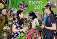 VIETNAM EXPO 2019 thu hút 500 doanh nghiệp tham gia