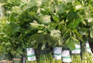 Bà Vũ Thị Thu Hương-Giám đốc Big C Hải Phòng: Mong góp sức bảo vệ môi trường