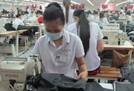 Huyện Tiên Lãng thu hút 187 doanh nghiệp, hợp tác xã