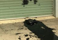 Vừa đến trụ sở mới, công ty vận tải đã bị ném chất bẩn đe dọa