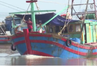 47 tàu cá đóng mới theo Nghị định 67 đã đi vào hoạt động