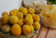 Mơ ngâm đường không bị váng