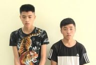 Công an huyện Thái Thụy, tỉnh Thái Bình: Bắt giữ 2 đối tượng trộm cắp tài sản
