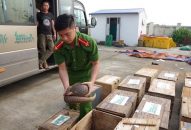 Chủ xe ôtô bỏ chạy khi bị phát hiện vận chuyển trái phép tê tê