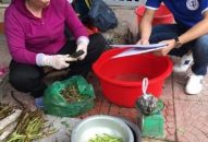 Tuyên truyền chính sách bảo hiểm xã hội tự nguyện