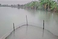 Huyện Vĩnh Bảo: Quy hoạch phát triển vùng rươi hơn 300 ha