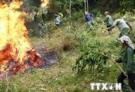 Nắng nóng tiếp tục mở rộng, nguy cơ cao về cháy nổ và cháy rừng