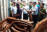 Thu nộp gần 2.500 tỷ đồng tiền buôn lậu