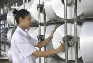 PVN: Nỗ lực cao nhất để vận hành trở lại Nhà máy xơ sợi Đình Vũ