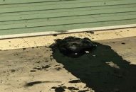 Vờ hỏng xe chặn cửa văn phòng của “đối thủ” ngày khai trương