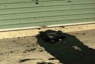 Thanh tra hãng taxi thuê người hất chất bẩn vào văn phòng của đối thủ cạnh tranh