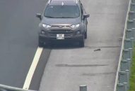 Bị phát hiện đi ngược chiều trên cao tốc Hà Nội-Hải Phòng, tài xế lùi xe bỏ chạy