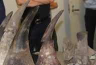 Buôn lậu ma túy, sản phẩm động vật hoang dã còn rất phức tạp