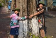 Ngắm vẻ đẹp khó cưỡng những cây di sản ở Côn Đảo