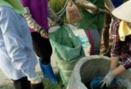 Tổ chức 30 cuộc truyền thông về chống rác thải nhựa