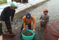 Chuyện thời cuộc: Nghiêm túc