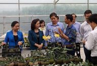 Tổ chức 24 buổi chuyển giao khoa học công nghệ