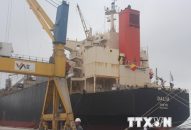 Thanh Hóa khai trương tuyến dịch vụ vận tải container quốc tế