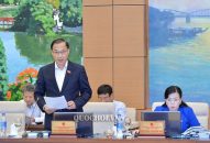 Cử tri đề nghị xử lý phụ huynh liên quan tới gian lận điểm thi