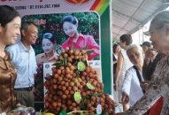 Quả vải Hải Dương đứng trước cơ hội lớn