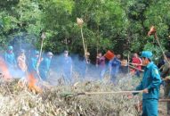 Tuyên truyền phổ biến pháp luật bảo vệ rừng