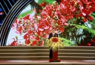 Phát biểu của Chủ tịch UBND thành phố Nguyễn Văn Tùng khai mạc Lễ hội hoa Phượng đỏ – Hải Phòng 2019