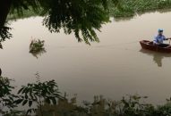 Phát hiện, thu gom, tiêu huỷ 3 xác lợn trôi trên sông Rế