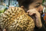 Chọn sầu riêng ngon, nhiều cơm ít hạt
