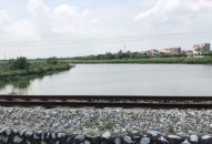 Không phát hiện thêm xác lợn nào trên sông Rế