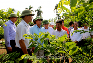 Đoàn công tác Ban Kinh tế Trung ương khảo sát mô hình Hợp tác xã tại huyện Thủy Nguyên