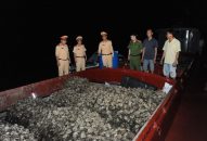 Bắt giữ 40 tấn hàu giống đang trên đường đi tiêu thụ