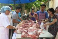 Trung tâm Khuyến nông thành phố: Khai trương cửa hàng bán thịt lợn an toàn