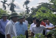 Phát triển kinh tế tập thể gắn với xây dựng nông thôn mới