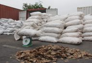 Hải Phòng: Thu giữ 8,3 tấn vảy tê tê lớn nhất từ trước tới nay