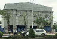 Hải Phòng: Đề nghị cơ quan công an điều tra vụ chặt hạ cây xanh