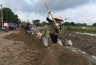 Tiếp nhận 46.552,9 tấn xi măng xây dựng giao thông nông thôn