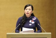 Một số văn bản giải trình các vấn đề cử tri nêu còn rất chung chung