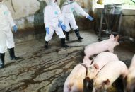 Chuyện thời cuộc:  Lại chuyện trục lợi